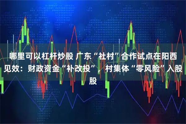哪里可以杠杆炒股 广东“社村”合作试点在阳西见效：财政资金“补改投”，村集体“零风险”入股